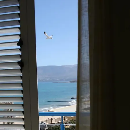 Il Gabbiano Apartamento *